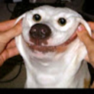 Meet your Posher, Brayden